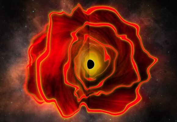 Astronomers Discover the Existence of a Black Hole Star