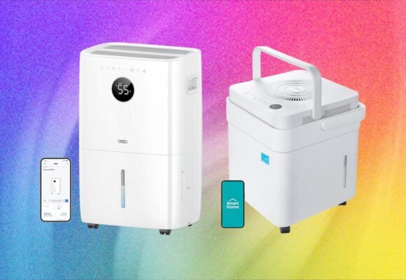 6 Best Dehumidifiers to Fight Mold and Muggy Summers (2026)