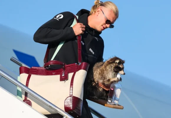 Raccoons at the ready! 20 Halloween costumes for 2026 – from Erling Haaland to Kate in Widow’s Bay